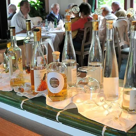 Ringhotel Altes Forsthaus Отель