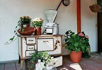 Отель Ringhotel Altes Forsthaus 3*